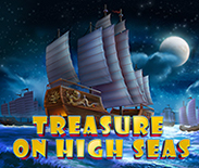 Treasure on High Seas
